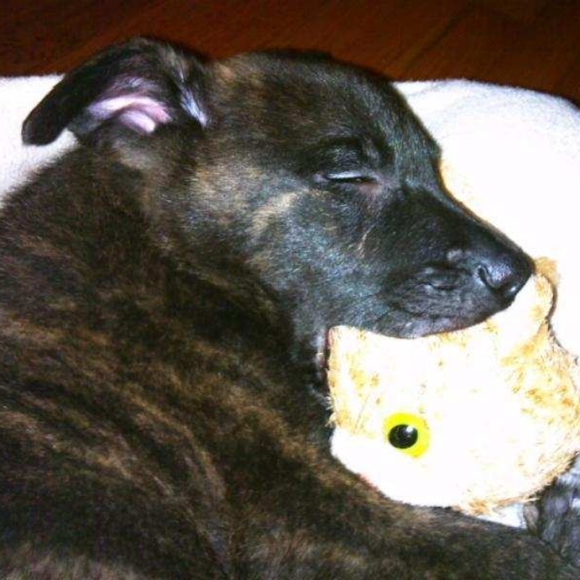 Meet your Posher - Picture 2 of 7